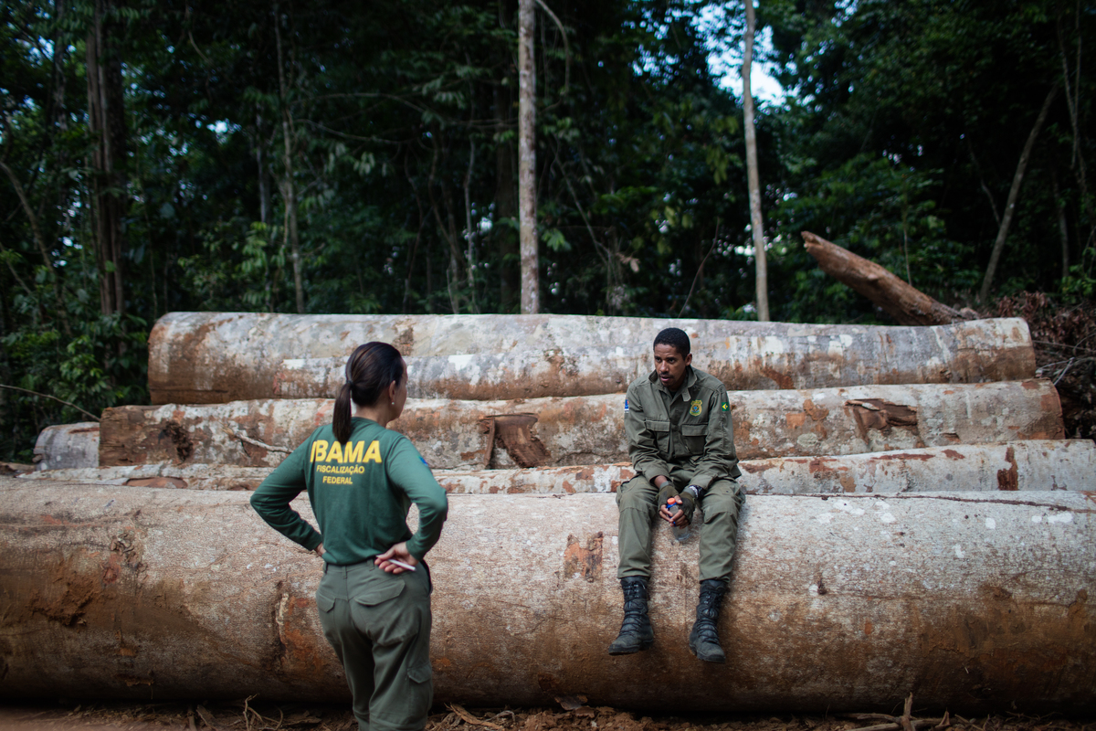 servidores do ibama na floresta amazônica