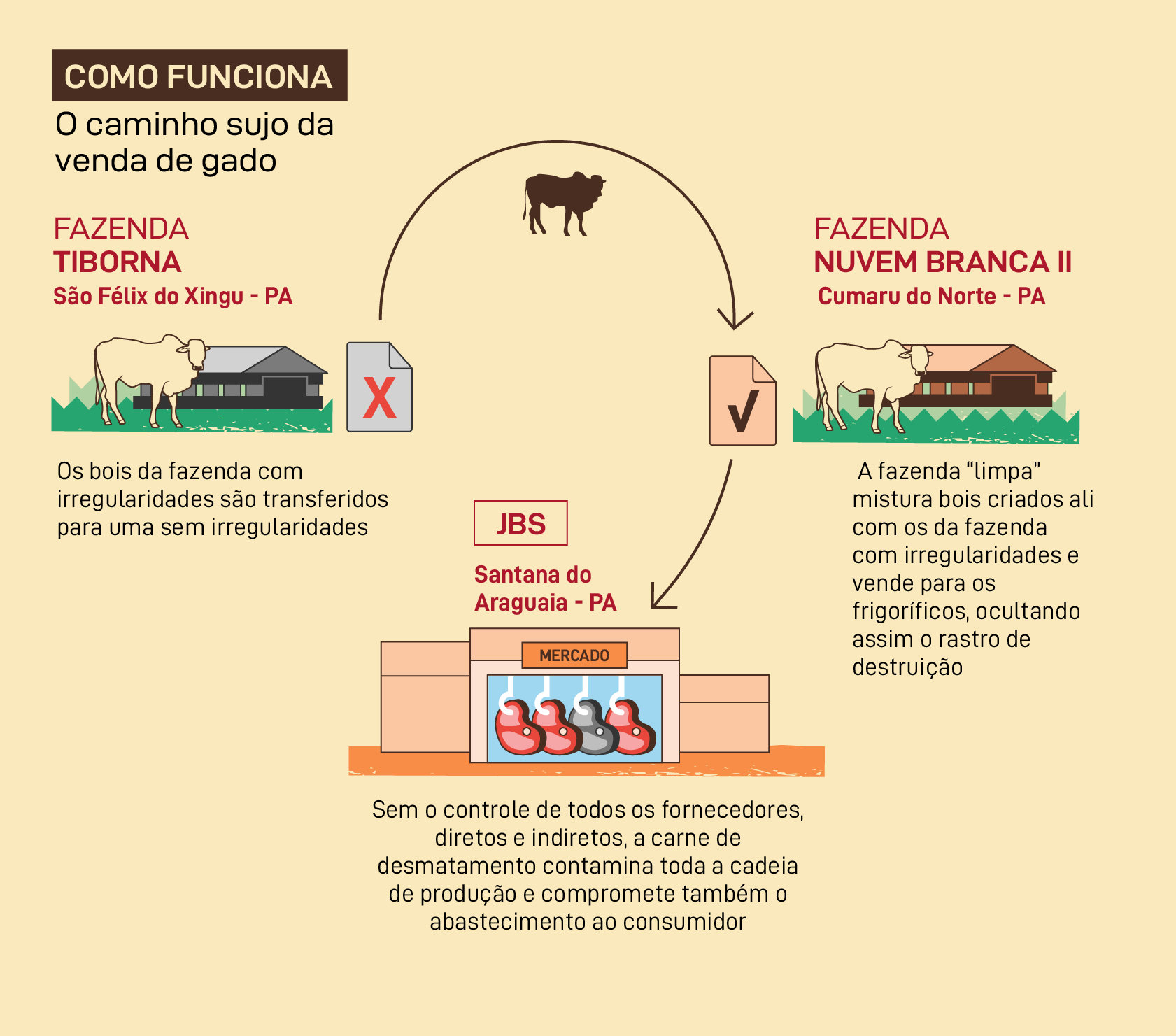Como funciona o caminho sujo da venda de gado