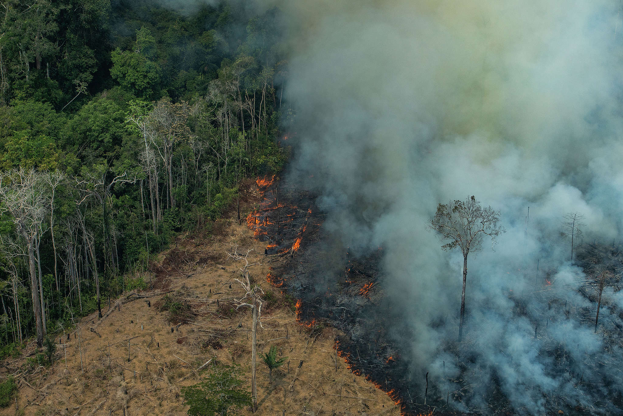 O Fogo Já Chegou Amazônia Bate Recorde De 13 Anos Nos Focos De Calor Em Junho Greenpeace Brasil 