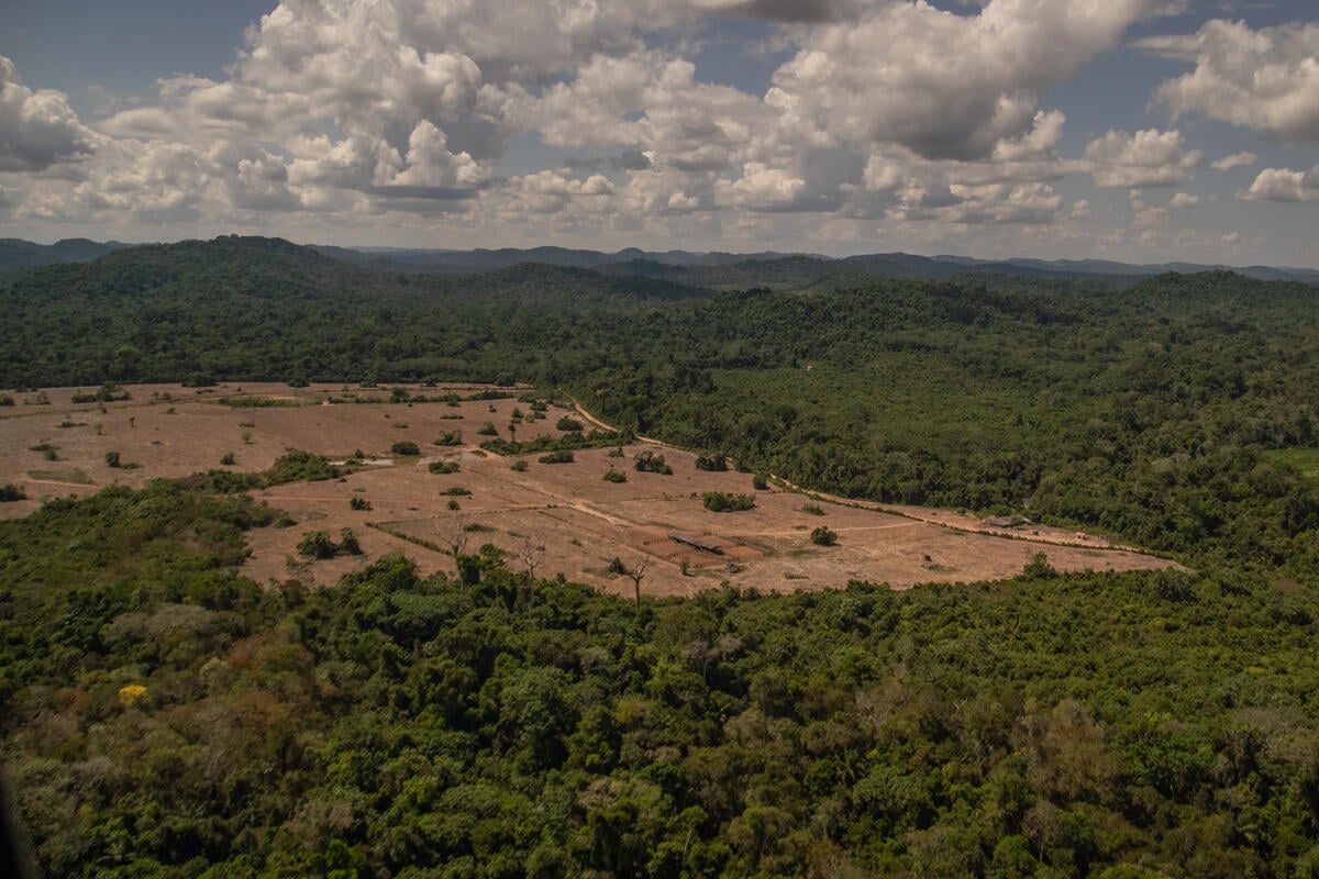 Monitoramento de Desmatamento e Queimadas na Amazônia em Julho de 2020 - Caso “Maranhense”. © Christian Braga / Greenpeace