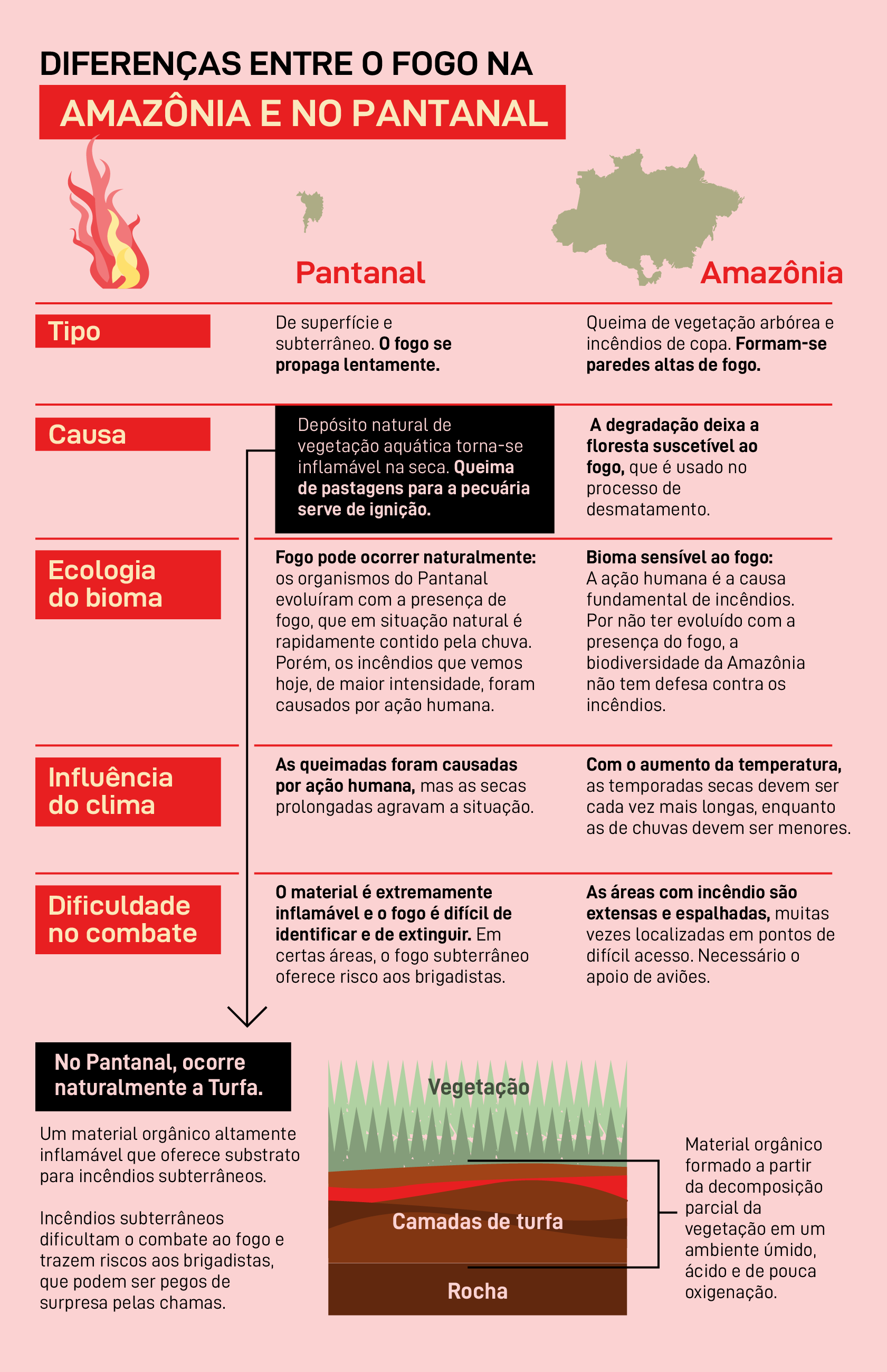 Fogo Consome O Pantanal E Vidas Greenpeace Brasil