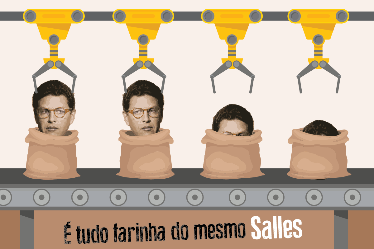 Ricardo Salles deve ser retirado imediatamente do Ministério de Meio  Ambiente - Greenpeace Brasil