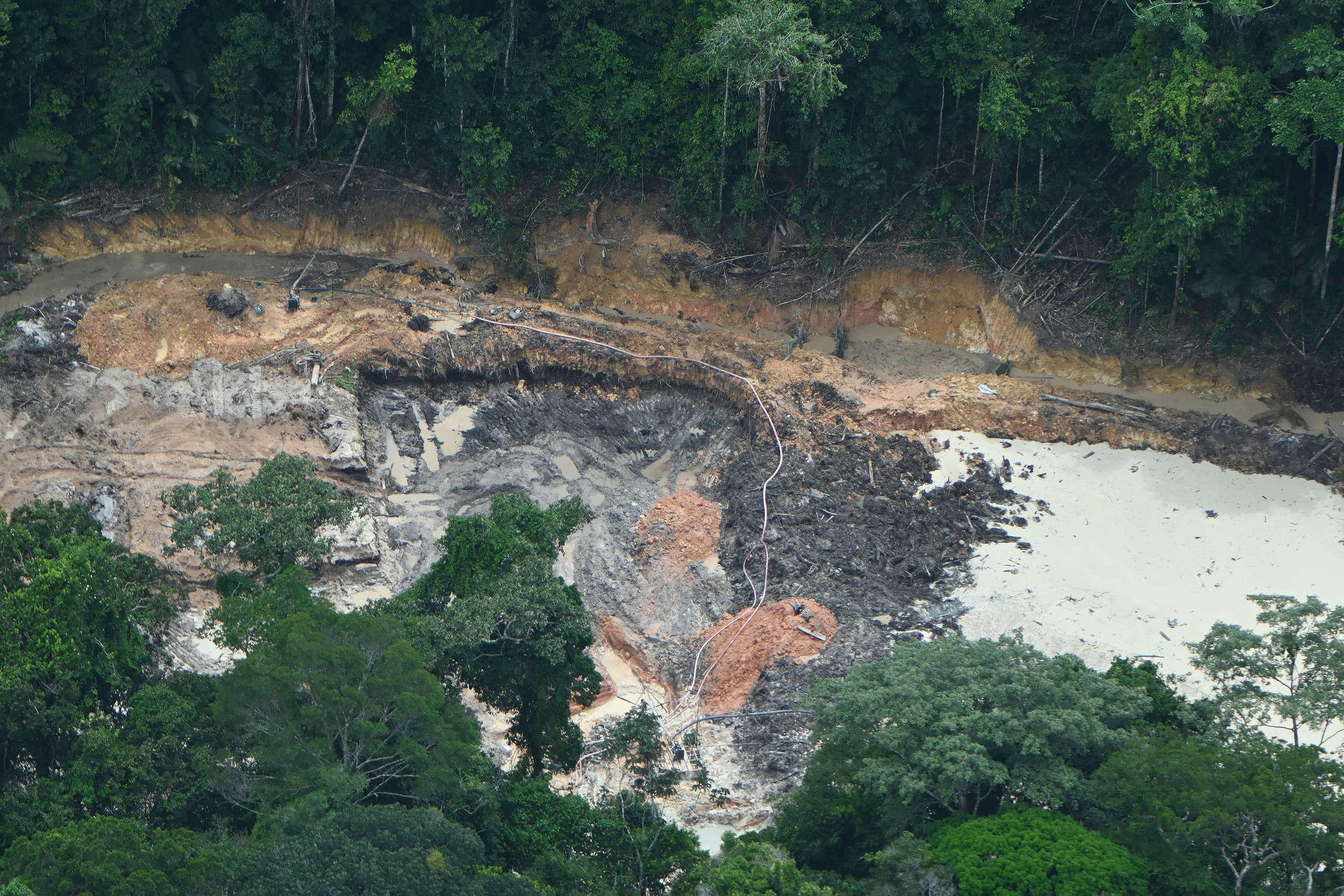 A morte dos rios - Greenpeace Brasil