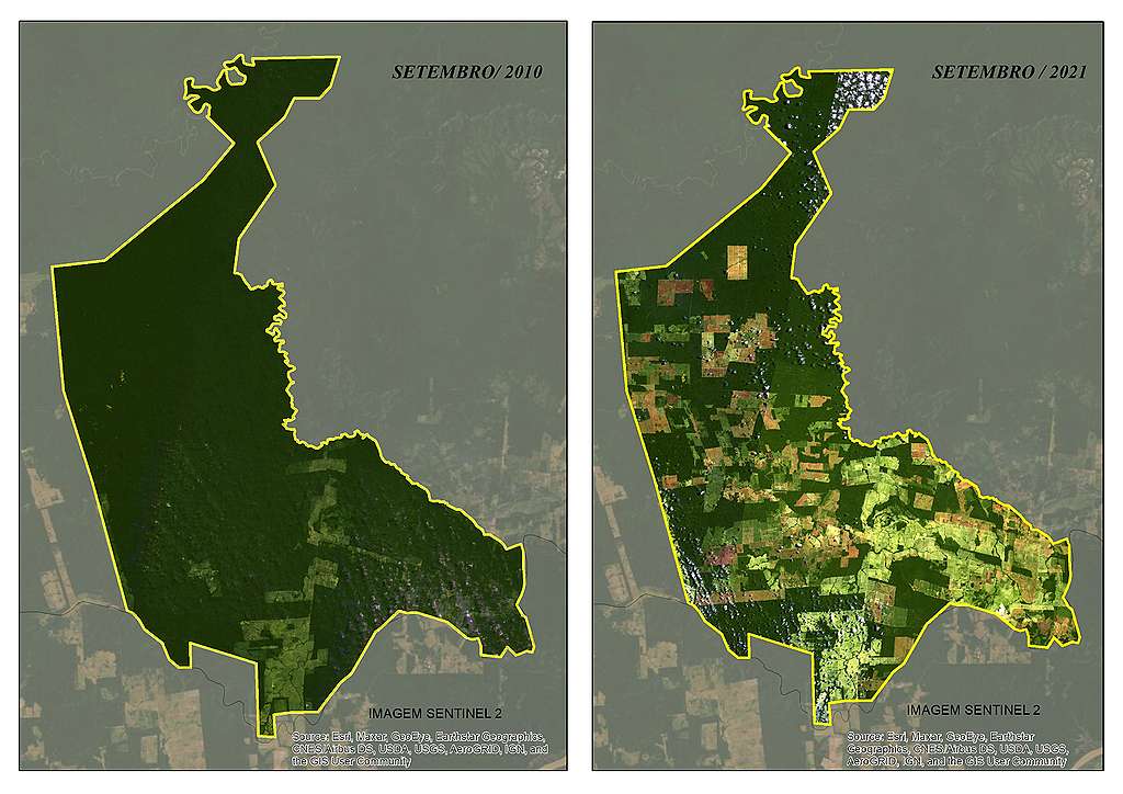  Imagens de satélite comprovam o avanço do desmatamento na Gleba João Bento. Fonte: © Sentinel Hub tratada pelo GEOLab Greenpeace Brasil