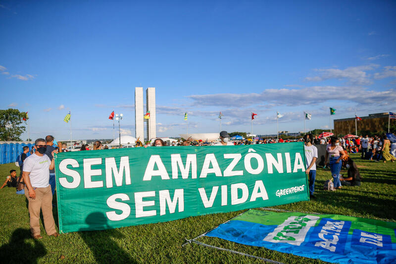 Um grito de basta ouvido pela Justiça - Greenpeace Brasil