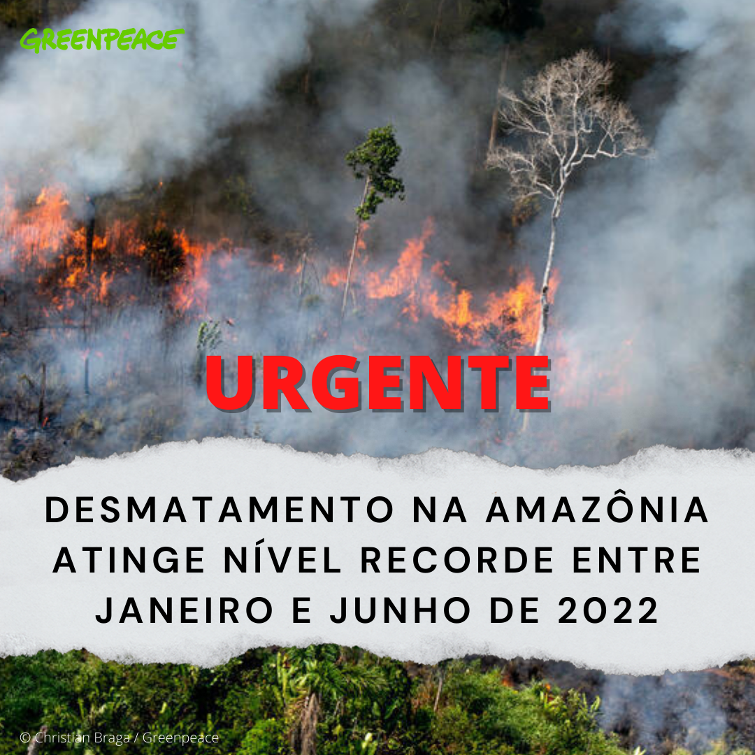 Urgente, desmatamento da Amazônia bate novo recorde no primeiro semestre de 2022