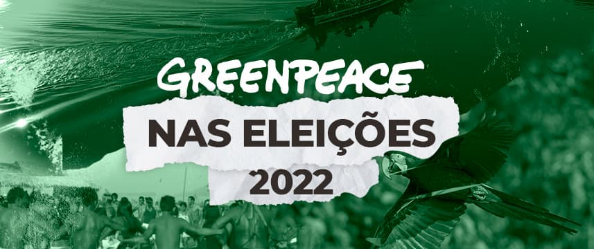 O Brasil está em jogo, e a hora de agir é agora - Greenpeace Brasil