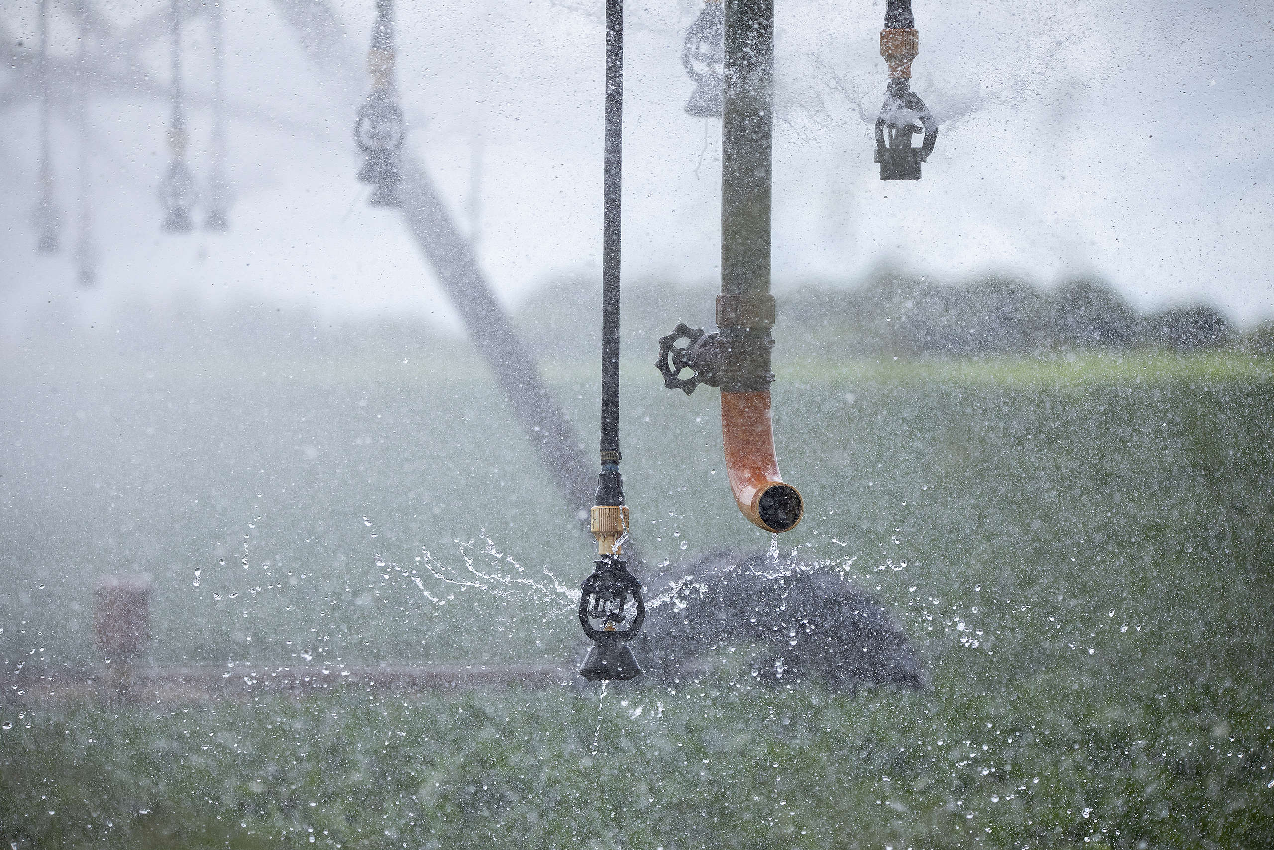 Chuva de veneno – Estadão