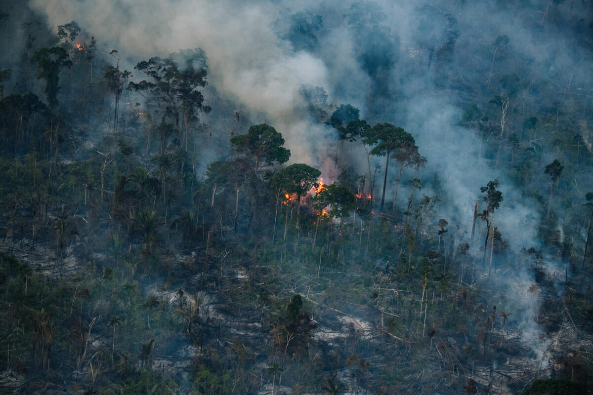 Primeiro semestre de 2023 tem alta nos focos de calor na Amazônia