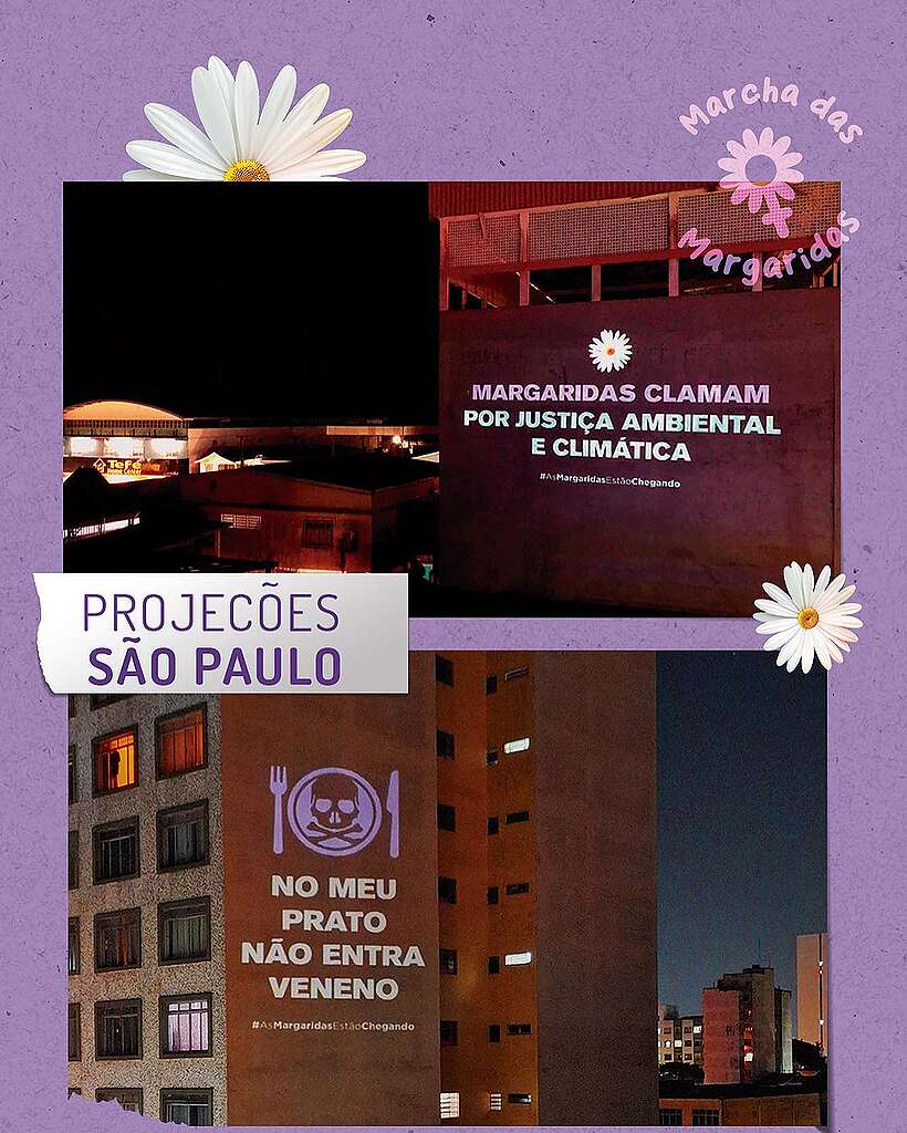 Arte com fotografia de projeções em São Paulo