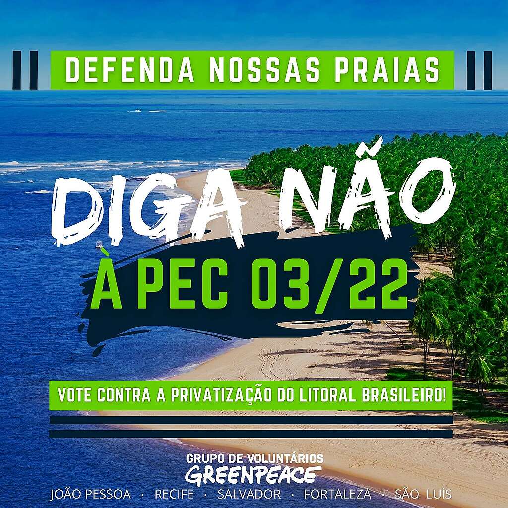 Arte com fotografia de praia no fundo de mobilização online contra a privatização do litoral brasileiro