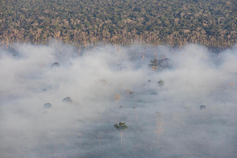O Dia da Amazônia na Era do Fogo