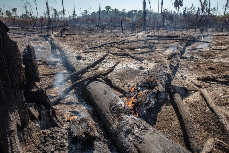 Tempo seco favorece crime ambiental na Amazônia e fogo avança 