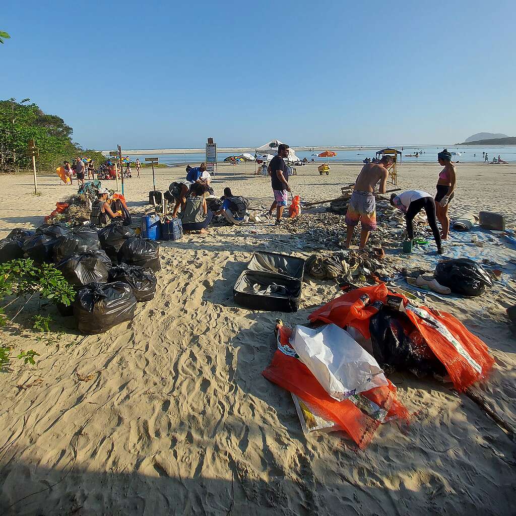 Fotografia de voluntários em ação de limpeza na praia