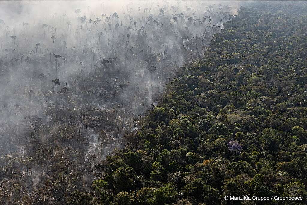 Foco de incêndio na floresta amazônica