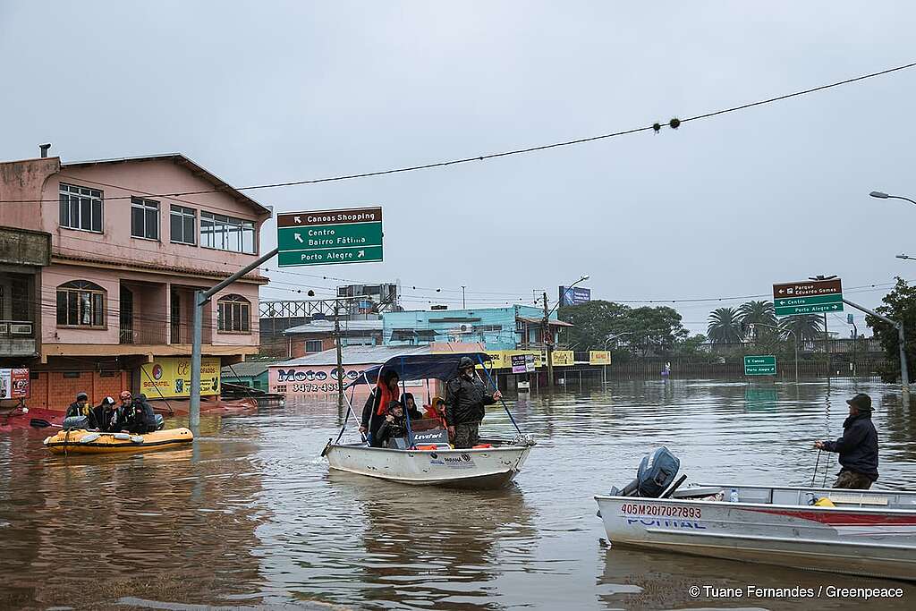 Cidade gaúcha atingida por enchente; pessoas de barco realizando resgate de animais
