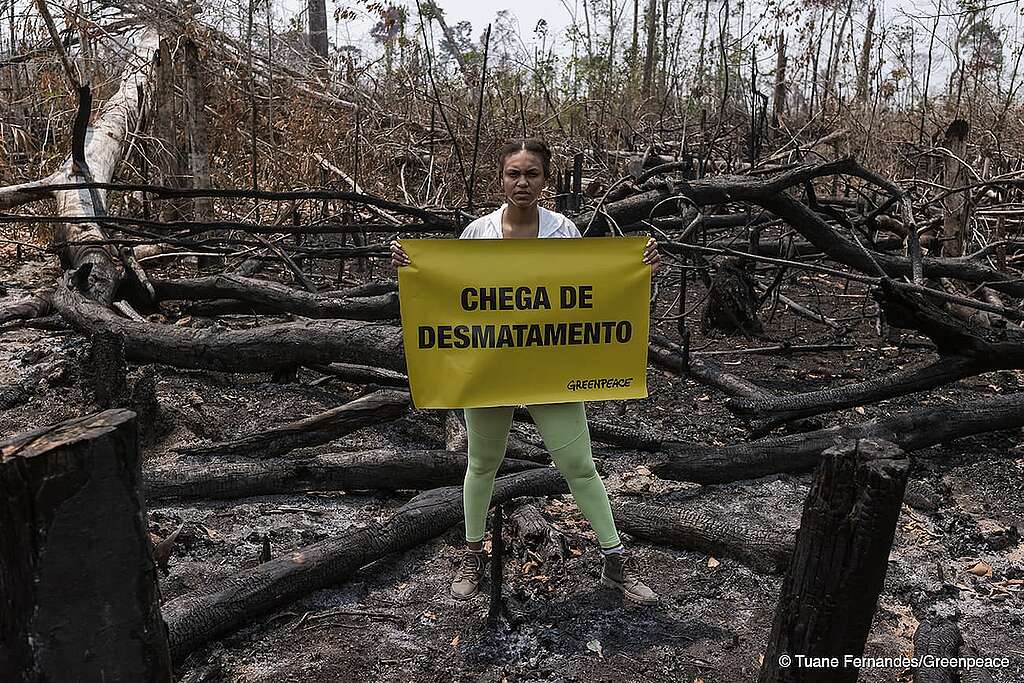 mulher negra com semblante sério posicionada em área desmatada na Amazônia com um banner amarelo aberto. No banner tem escrito: Chega de desmatamento.