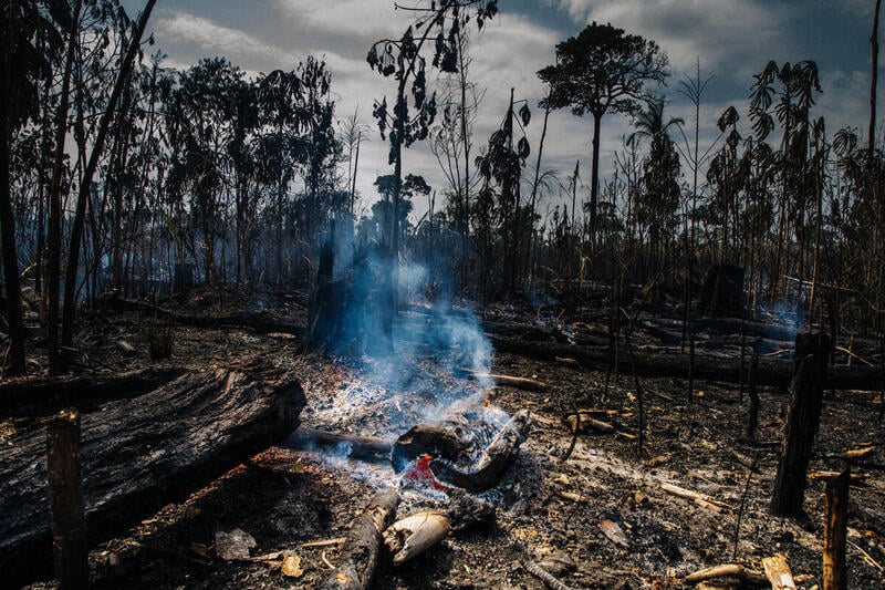 Para STF, governo Bolsonaro promoveu violação massiva de direitos socioambientais na Amazônia