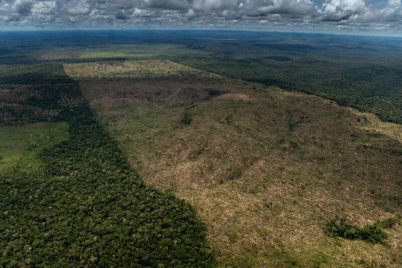 Desmatamento no bioma Amazônia em 2023 é o menor em cinco anos; no Cerrado, a taxa é a maior em sete anos