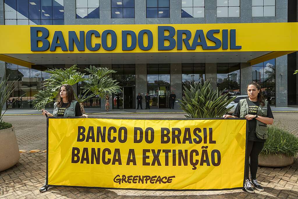 Ativista em frente ao Banco do Brasil segurando um banner amarelo escrito ''Banco do Brasil banca a extinção''. 