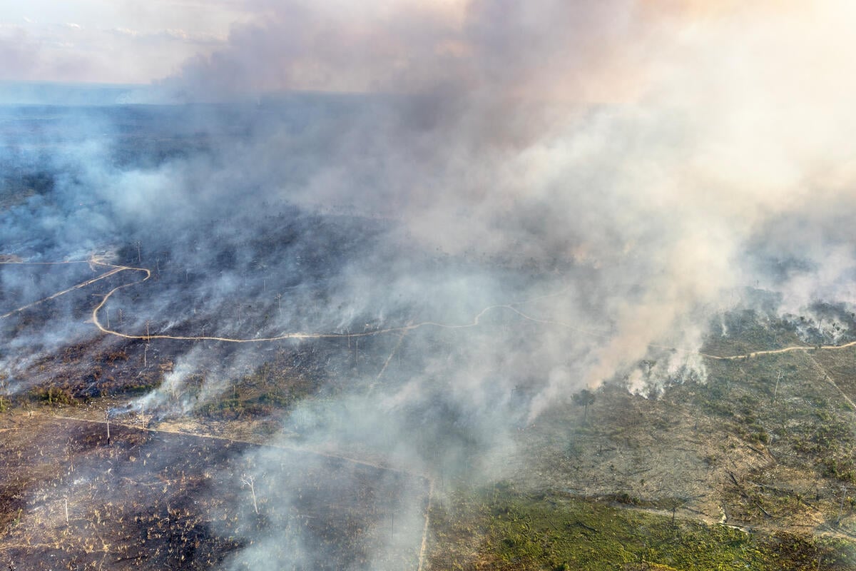 Bancos Incendiários: a relação entre crédito rural, multas ambientais e fogo