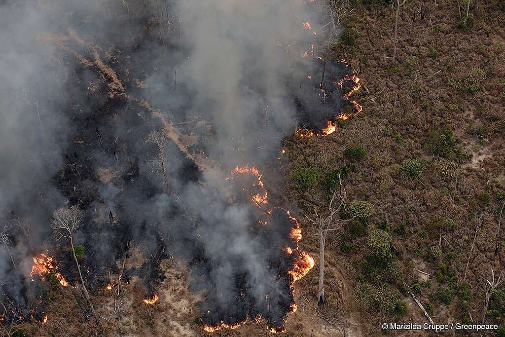 Foto tirada durante sobrevoo no sul do Amazonas e no norte de Rondônia para monitorar o desmatamento e queimadas em julho de 2024. 