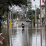 Flooded streets in the Ipanema neighborhood in Porto Alegre, Rio Grande do Sul state.
Greenpeace Brazil is gathering emergency donations to help people in Rio Grande do Sul state, which is facing the worst climate tragedy in its history. Activists are adding strength in helping put together and run solidarity kitchens in impacted areas and taking donations of food and supplies to Indigenous communities and other victims in isolated areas.
Greenpeace is partnering with MAB (Movement of People Affected by Dams), Cimi (Indigenist Missionary Council) and Arpinsul (Articulation of Indigenous Peoples of the Southern Region).
Ruas alagadas no Bairro Ipanema, em Porto Alegre, Rio Grande do Sul.
O Greenpeace Brasil está realizando uma campanha de arrecadação emergencial para ajudar a população do Rio Grande do Sul, que enfrenta a maior tragédia climática de sua história. Diante da gravidade do que a população gaúcha enfrenta, nos somamos à rede de solidariedade e estamos apoiando cozinhas solidárias em áreas afetadas, assim como realizando a doação de alimentos e itens essenciais para comunidades indígenas e outras vítimas das fortes chuvas em áreas isoladas.
Entre os nossos parceiros estão o Movimento dos Atingidos por Barragens (MAB), Conselho Indigenista Missionário (Cimi) e Articulação dos Povos Indígenas da Região Sul (Arpinsul).