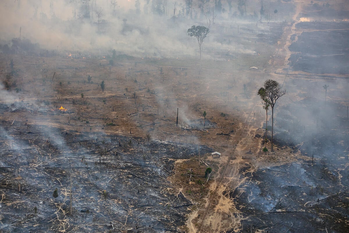 Saiba como amenizar o impacto da fumaça das queimadas na saúde