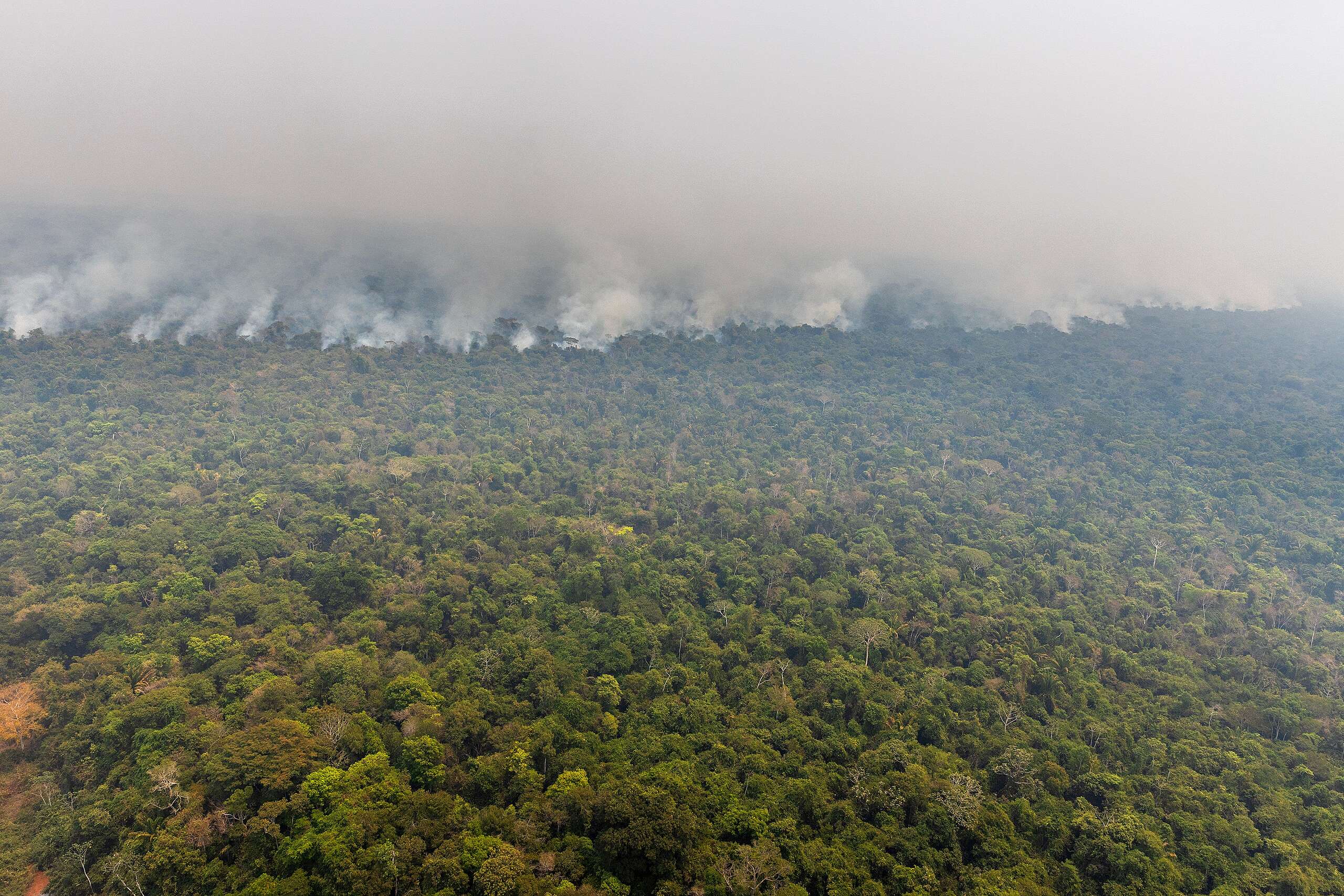 Xingu em chamas: Território Indígena Capoto-Jarina luta contra o avanço das queimadas