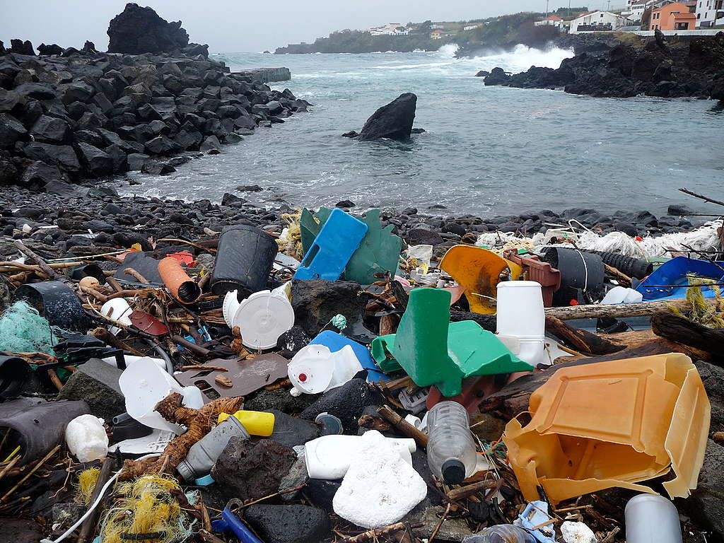 Plastic on a Beach in the Azores. © The 5 Gyres Institute