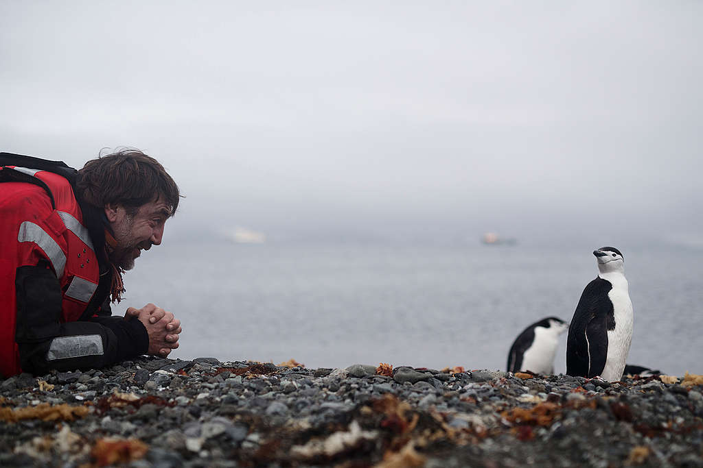 Хавиер Бардем и антарктически пингвинд в Антарктида © Кристиан Аслунд / „Грийнпийс“ © Christian Åslund / Greenpeace
