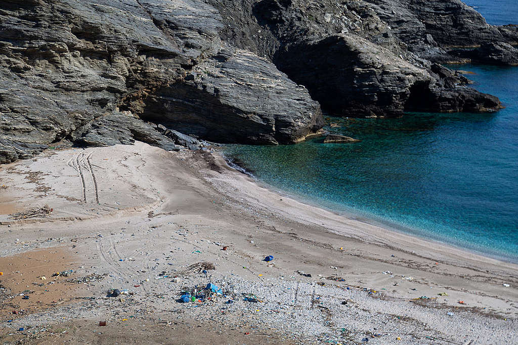 Плаж Чаракас в Евия, Гърция, само 8 месеца след почистването. © Константинос Статиас/ „Грийнпийс“