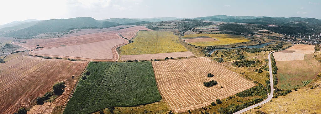 Изглед от въздуха към селски район в община Сливница, август 2020 © Деннис Тодоров/ „Грийнпийс“