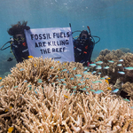 Тони Фонтес и Бевърли Фонтес, австралийски водолази и подводни оператори , държат плакати, за да привлекат вниманието към въздействието на климатичните промени върху Големия бариерен риф и необходимостта от действия на правителството за намаляване на емисиите. 