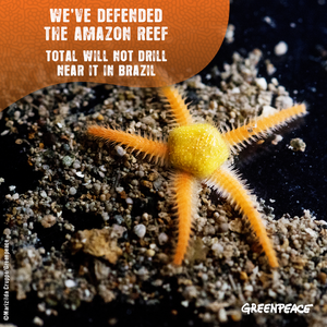 Victory Amazon Reef starfish