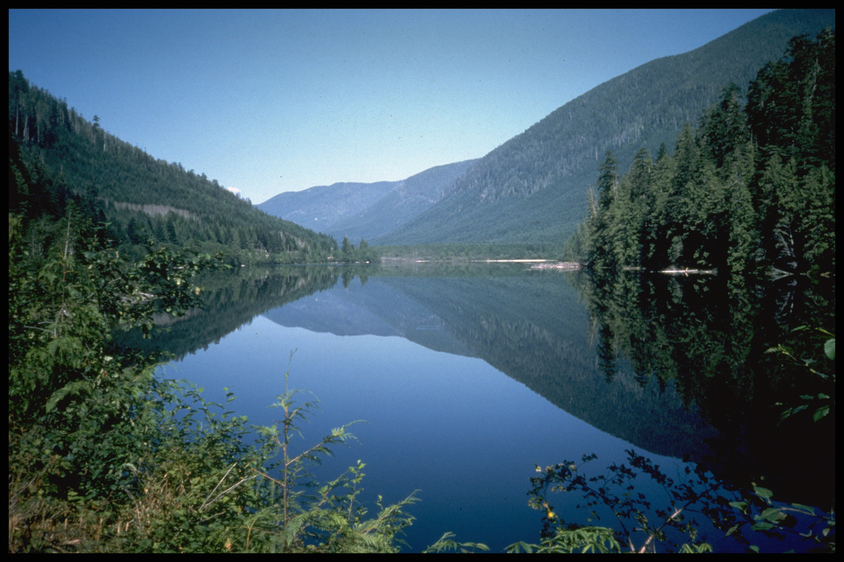 Francis Lake, Western Vancouver Island, British Columbia, Canada. © Mike Lowman / Greenpeace