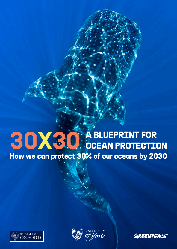 Thumbnail 30X30 Blueprint Ocean Protection