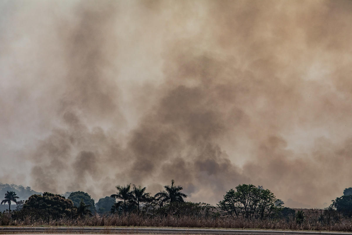Forest Fires in Alta Floresta, Mato Grosso, Amazon (2019). © Victor Moriyama / Greenpeace