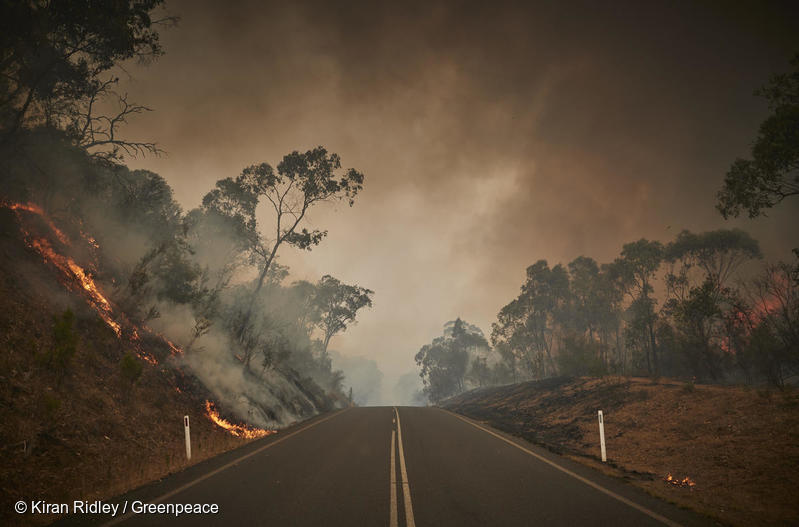 Bushfire in Snowy Mountains, Australia