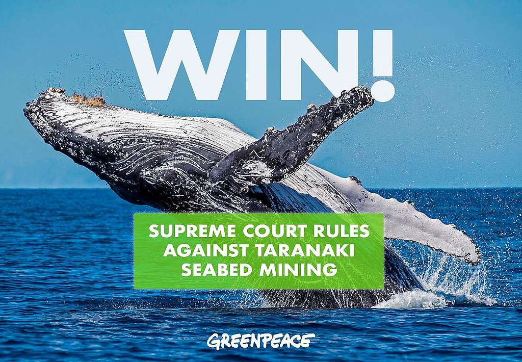 A photo of a whale breaching, and with the words "WIN! Supreme Court rules against Taranaki seabed mining" superimposed onto it.