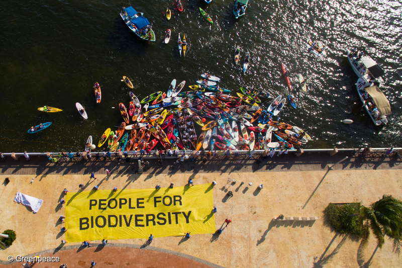 boats around the sign "People for biodiversity"