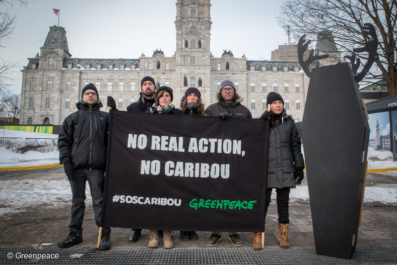 Greenpeace activists holding the sign "no real actions, no caribou""