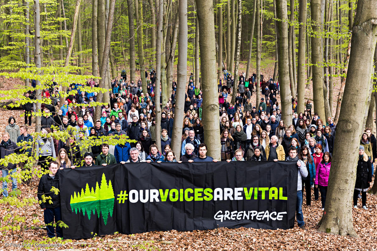 Greenpeace activists display signs and banners that read:“#OurVoicesAreVital“ in a forest near Werbellinsee in Brandenburg to show solidarity with Greenpeace Canada, Greenpeace USA and Greenpeace International.