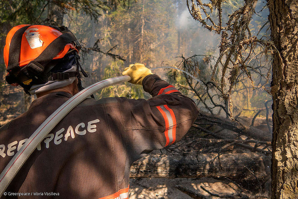 En août, Greenpeace Russie a pris part aux efforts de lutte contre les incendies dans le parc national de Yugyd Va, situé dans la République des Komis en Russie. Greenpeace a travaillé aux côtés du personnel du parc et des pompières et pompiers du service de protection aérienne des forêts.