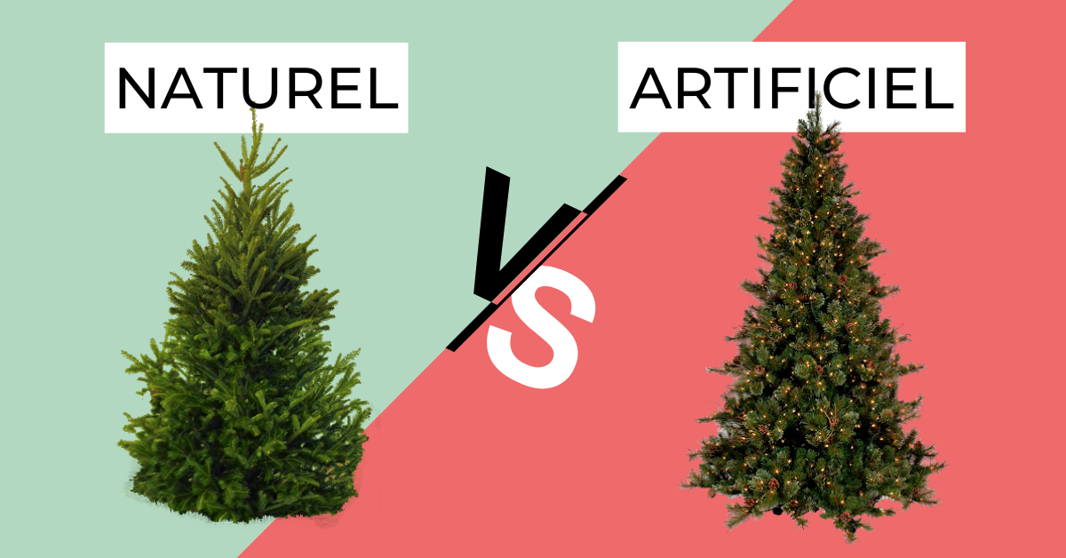 Vous ne parvenez pas à choisir entre un sapin de Noël naturel ou  artificiel? - Greenpeace Canada