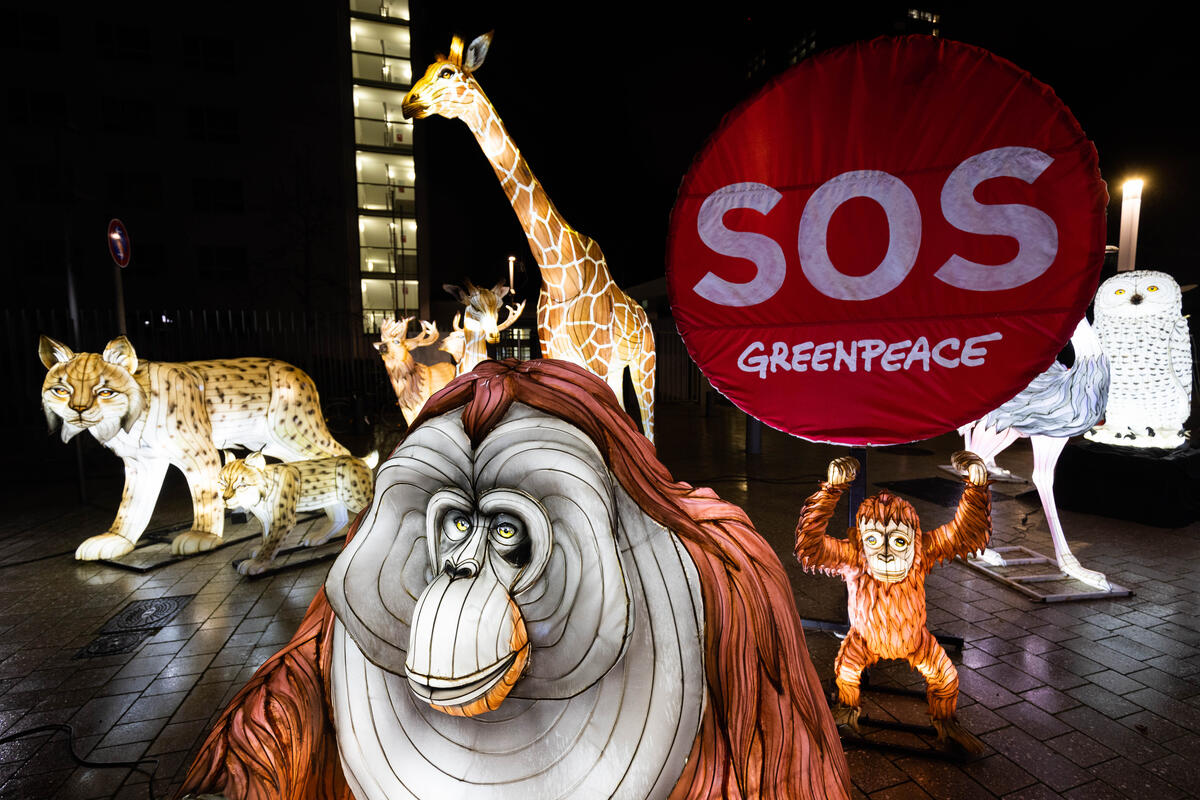 Protest with Luminous Animal Figures for Protecting Nature in front of UN Building in Bonn.
