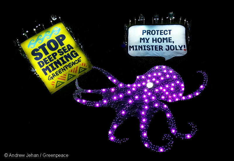 Greenpeace Canada activists installed a 48-by-30-foot octopus, made of more than 1,000 LED lights, on Ottawa’s Maple Island to bring attention to deep sea mining. The ghost octopus held one banner from its tentacles reading “Stop Deep Sea Mining!” and shouted “Protect my home, Minister Joly!” in English and “Protégez ma maison, ministre Joly!” in French via a speech bubble. Ahead of talks in July at the International Seabed Authority — where deep sea mining could be green lit — the activists shone a metaphorical and literal light on what’s at stake: thousands of species, including the ghost octopus, make their home in the deep sea, often in areas specifically targeted by the industry. Greenpeace is calling on Foreign Affairs Minister Mélanie Joly — the minister ultimately responsible for leading Canada at the ISA — to make a clear stand against deep sea mining and support the push for a moratorium on the practice in international waters.