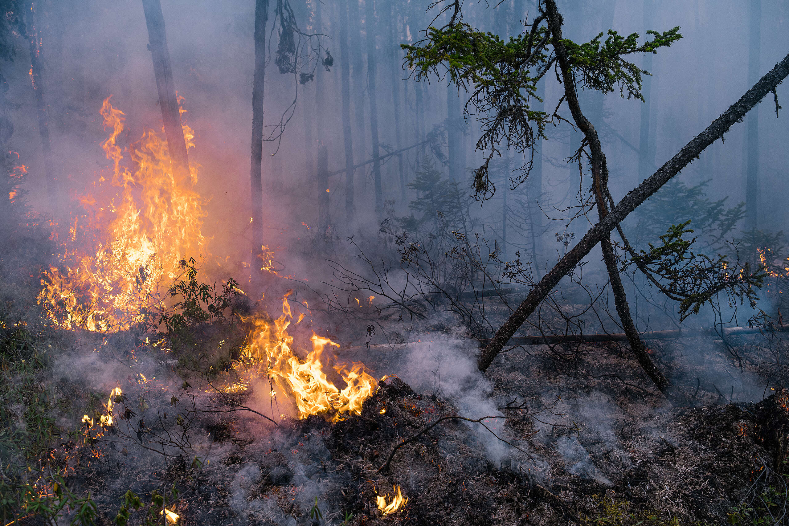 Des feux brûlent des arbres au nord du réservoir Gouin, près de la communauté Atikamekw d'Opitciwan, dans la province de Québec