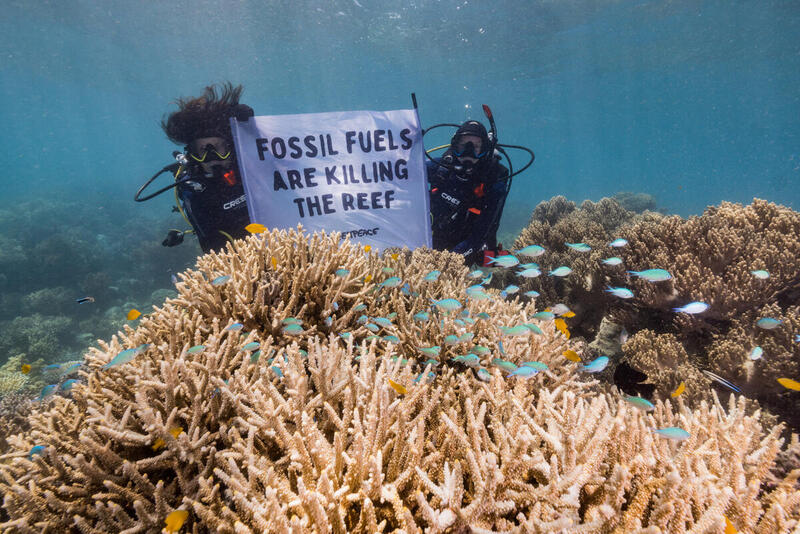 Divers with Sign Underwater on the Great Barrier Reef in Australia