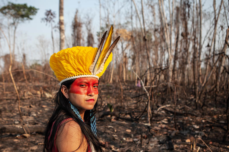 Our Government Must Act Because What S Happening In The Amazon Impacts Us All Greenpeace Canada